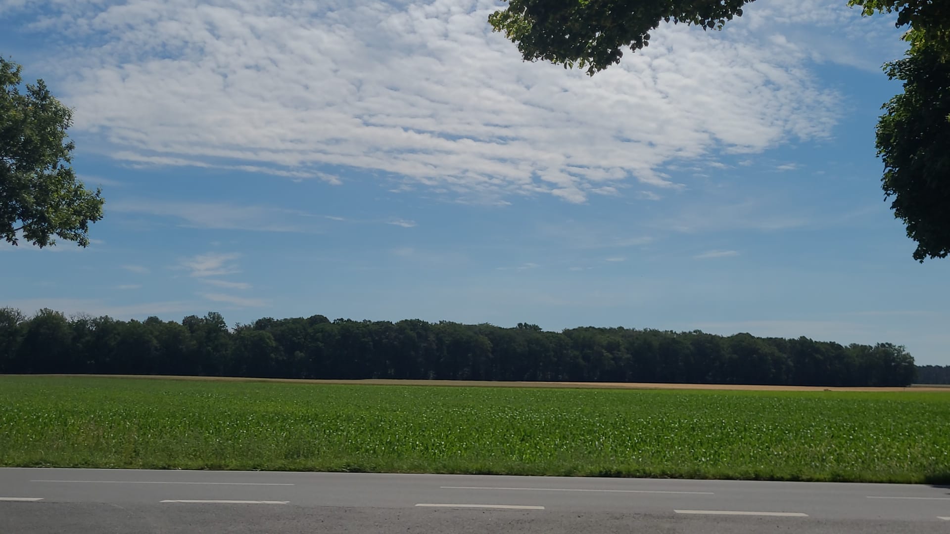 Galeriebild Kleinburgwedel